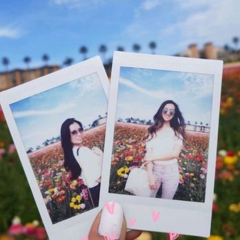 The Flower Fields - Bring a polaroid if you have one - Venues & Event Spaces Near Me - Carlsbad, California The Flower Fields - Bring a polaroid if you have one - Venues & Event Spaces Near Me - Carlsbad, California