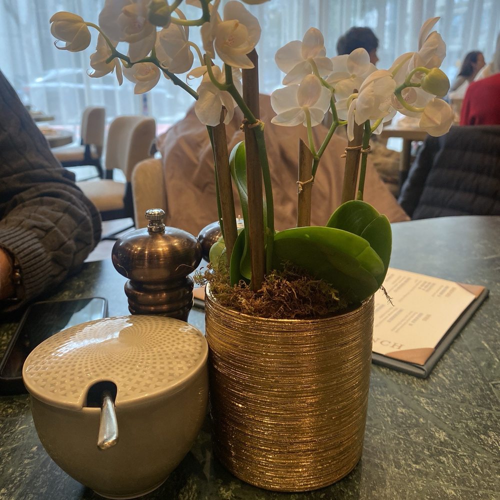 Astra - Table orchids - American Near Me - San Francisco, California Astra - Table orchids - American Near Me - San Francisco, California