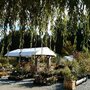 Photo of Russell Nursery