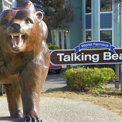 Talking Bear - Thank you Sierra News Online!