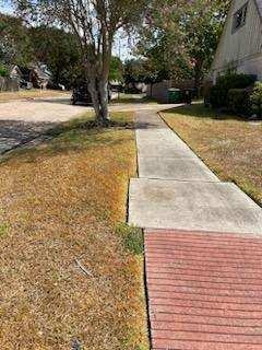 Slide of Cruz Landscape And More