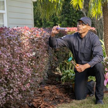 Arrow Exterminating - Pest Control Near Me - Lynbrook, New York Arrow Exterminating - Pest Control Near Me - Lynbrook, New York