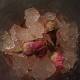 Fresh rose buds in the cocktails