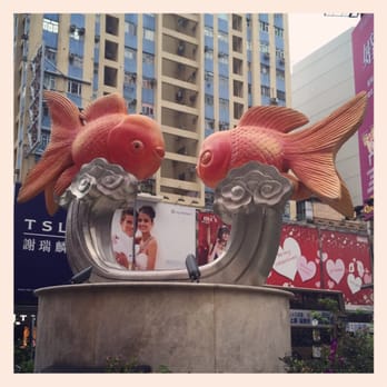 金魚街 - Pet Stores Near Me - Hong Kong, HK
