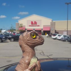 BJ's Wholesale Club - Bob the Raptor Says "Member Mammals come here to get a lot of stuff."