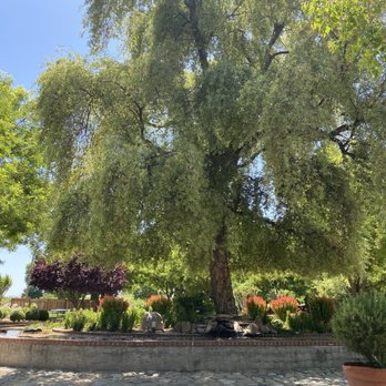 Cardella Winery - Outside - Wineries Near Me - Mendota, California