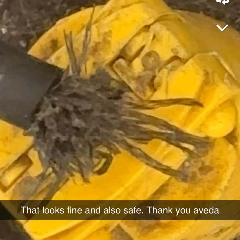 Brown Aveda Institute - Frayed wiring under a station that powers all of the tools. - Cosmetology Schools Near Me - Strongsville, Ohio Brown Aveda Institute - Frayed wiring under a station that powers all of the tools. - Cosmetology Schools Near Me - Strongsville, Ohio