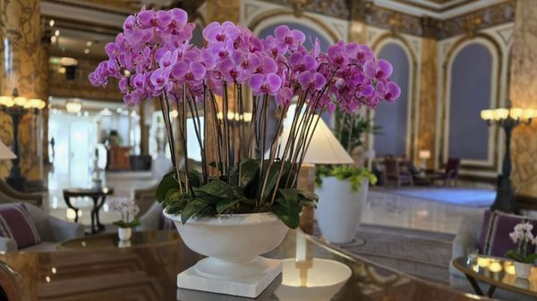 Fairmont San Francisco by null
