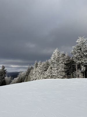 Timberline Mountain by null