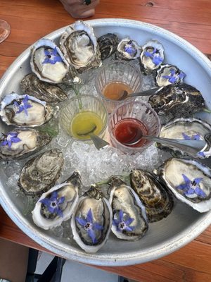 Conchas de Piedra by null Conchas de Piedra by null