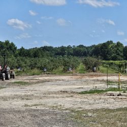 AA Farms - Fields