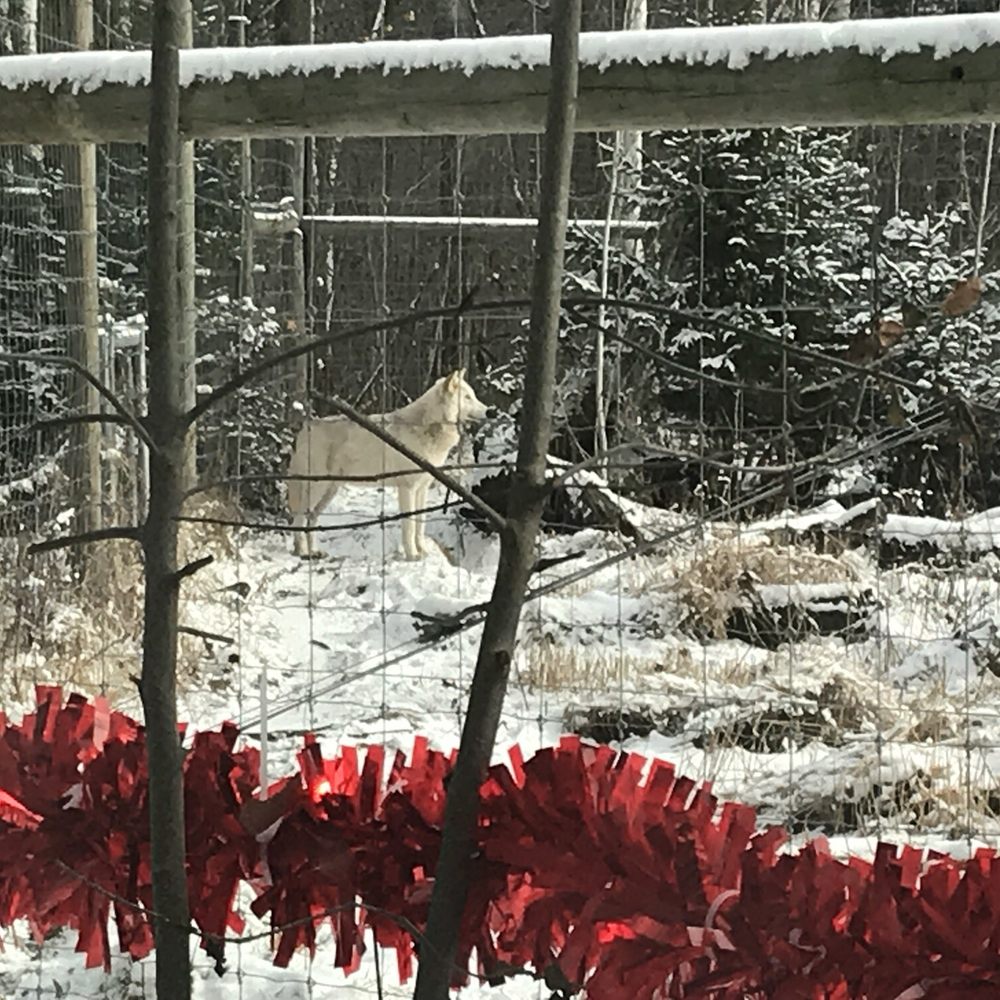 Shalom Wildlife Sanctuary - Parks Near Me - West Bend, Wisconsin