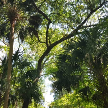 Kelly Park - Hiking Near Me - Apopka, Florida Kelly Park - Hiking Near Me - Apopka, Florida