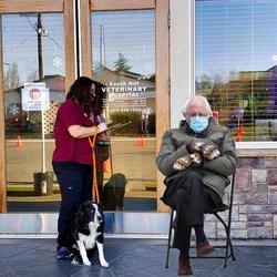 South Hill Veterinary Hospital - untitled