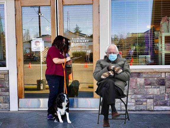 South Hill Veterinary Hospital - pet boarding facility in Puyallup, WA