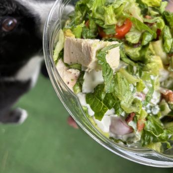 The Prince - Salad Near Me - Eastchester, New York The Prince - Salad Near Me - Eastchester, New York