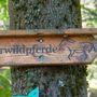 Photo of Wildpferdgehege