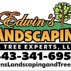 ITREE EXPERTS - Updated June 2024 - Middle River, Maryland - Tree ...