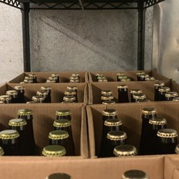 Beer Beer