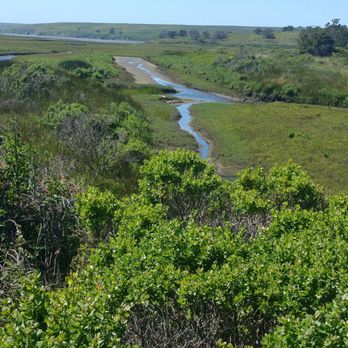 Limantour Beach - Just beautiful scenery - Beaches Near Me - Point Reyes Station, California