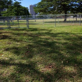Aala Park - View from within the dog park - Dog Parks Near Me - Honolulu, Hawaii Aala Park - View from within the dog park - Dog Parks Near Me - Honolulu, Hawaii