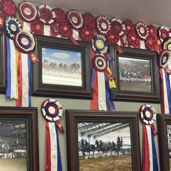 Grandview Clydesdales - Local Services Near Me - Dunnellon, Florida