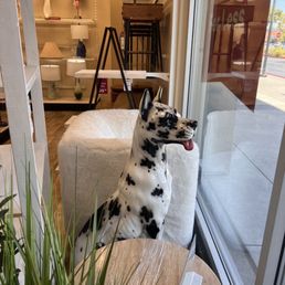 Dog figurine