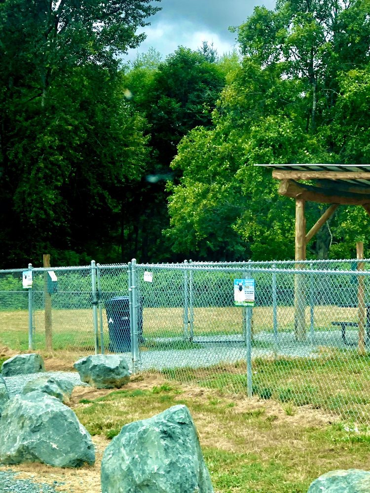 Bark Park Image