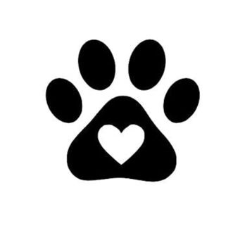 Best Paw Forward - Dog Walkers Near Me Best Paw Forward - Dog Walkers Near Me