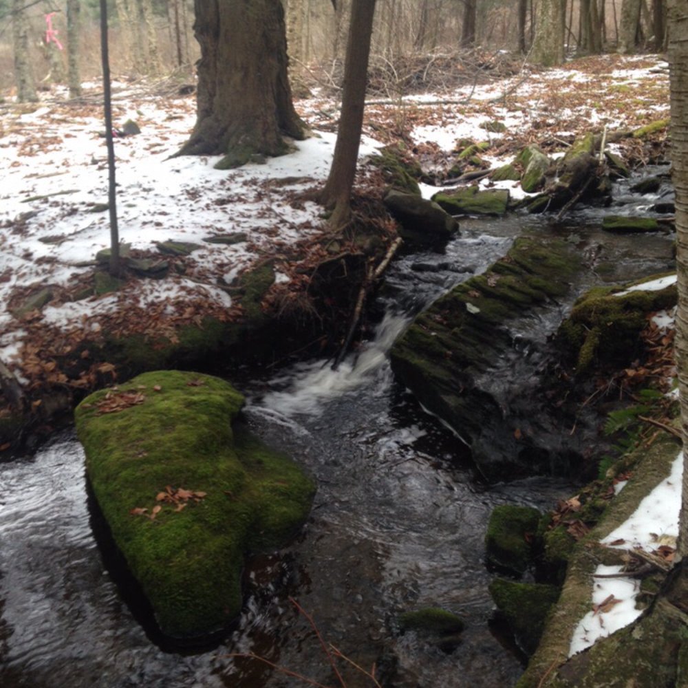 Himalayan Institute - A great spot for meditation on the Green Trail. - Yoga Near Me - Honesdale, Pennsylvania