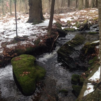 Himalayan Institute - A great spot for meditation on the Green Trail. - Yoga Near Me - Honesdale, Pennsylvania