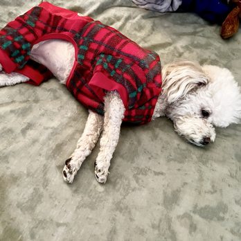 Shirley Veterinary Hospital - Veterinarians Near Me - Shirley, New York Shirley Veterinary Hospital - Veterinarians Near Me - Shirley, New York