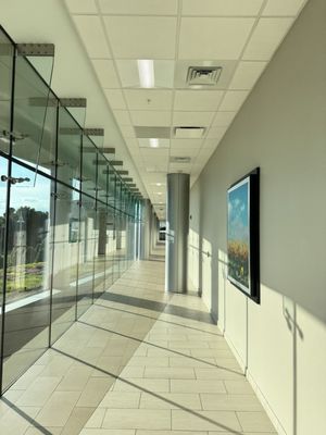 WakeMed Raleigh Campus by null