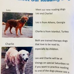 Vinings Library - Therapy dogs