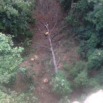 Southern Tree & Grading - Tree Services Near Me - Acworth, Georgia Southern Tree & Grading - Tree Services Near Me - Acworth, Georgia