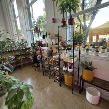 Bloomsgiving - Florists Near Me - Mountain View, California