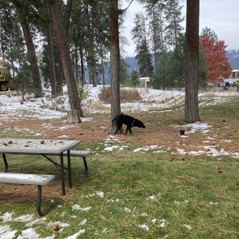 Holiday Inn Express - Small park for dogs. Cody made good use of it. - Hotels Near Me - Coeur D Alene, Idaho Holiday Inn Express - Small park for dogs. Cody made good use of it. - Hotels Near Me - Coeur D Alene, Idaho