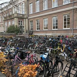Waag