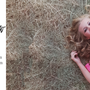 Photo of Southern Arrow Photography