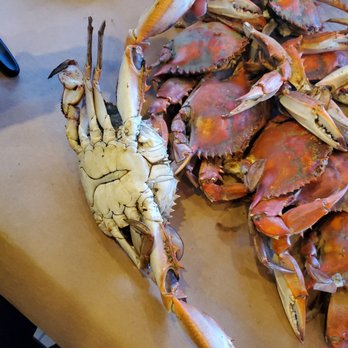 Cantler's Riverside - Xl crabs!!!! $115 for a dozen - Seafood Near Me - Annapolis, Maryland