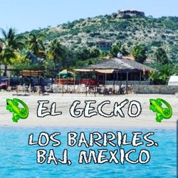 El Gecko - El Gecko Best of Baja You have to try the guacamole