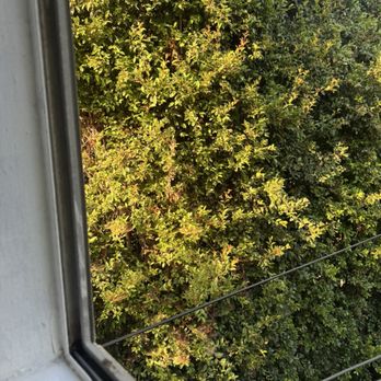Reliable Mobile Screen Company - Windows Installation Near Me Reliable Mobile Screen Company - Windows Installation Near Me