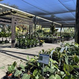Best Plant Nurseries in South Florida: Top Picks for Green Thumbs