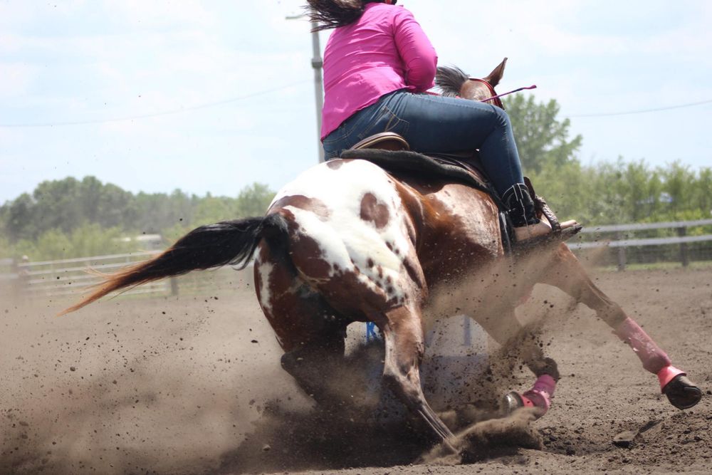 Woodland Meadows - equestrian in Marseilles, IL