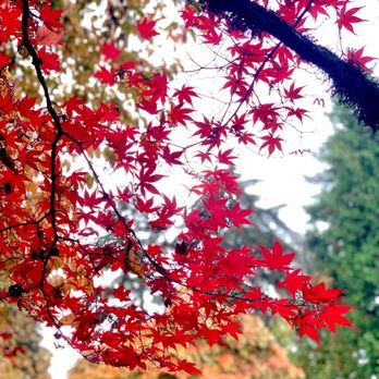 Washington Park Arboretum - Parks Near Me - Seattle, Washington Washington Park Arboretum - Parks Near Me - Seattle, Washington