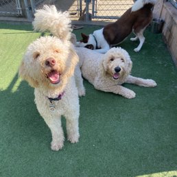 Annie and her friends.