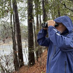 Savannah National Wildlife Refuge - Birdwatching at Kingfisher Pond