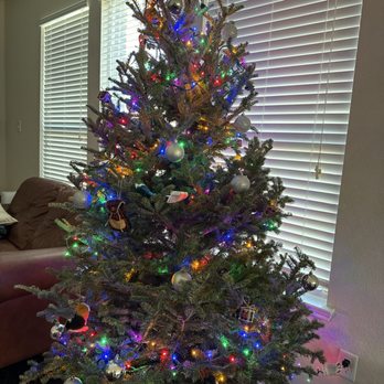 Famous In Oregon - Christmas tree - Nurseries & Gardening Near Me - Prosper, Texas