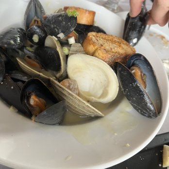 My Cousin's - Appetizer- clams & mussels - New American Near Me - Mahopac, New York