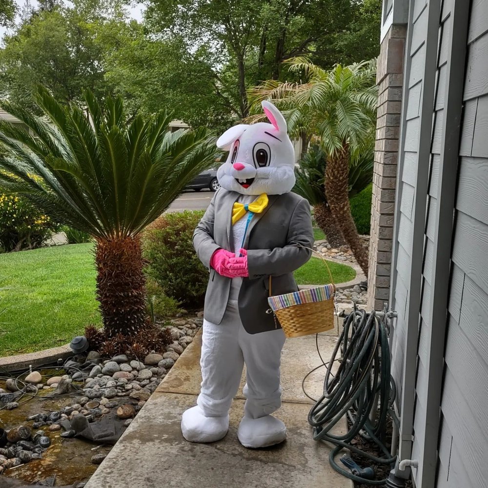 Purple Play House Child Care Logo